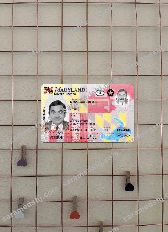 USA Maryland DL 2016 - present photolook FRONT